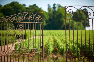 Coffret cadeau 2CV valable à vie pour une expérience inoubliable en couple