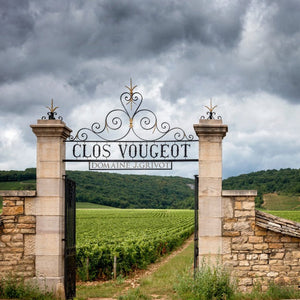 Expérience unique : visite des Châteaux de Pommard et Clos Vougeot en 2CV