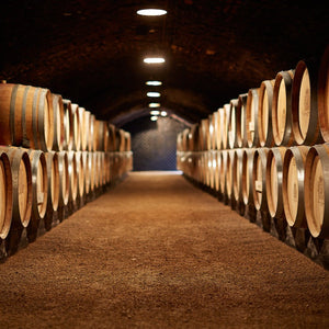 Balade en 2CV dans les vignobles de Bourgogne