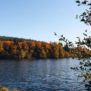 Balade romantique en 2CV en Bourgogne pour un moment d’évasion à deux