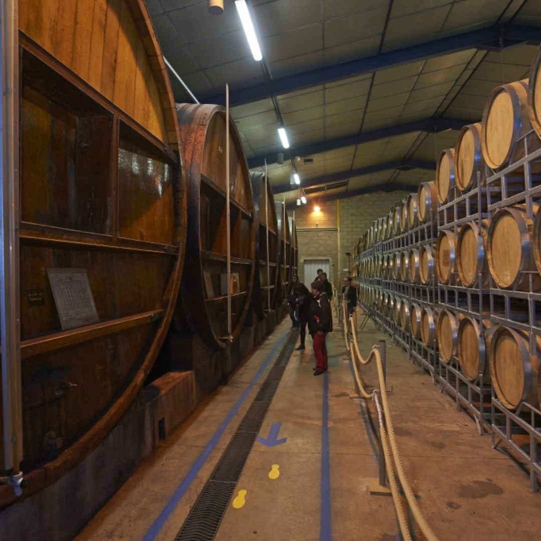 Visite du Cassissium & Dégustation • 2 personnes