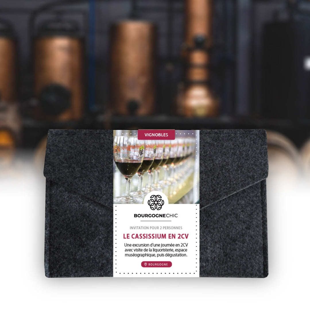 location 2CV bourgogne musée cassissium