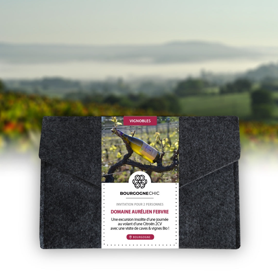 coffret cadeau location 2CV bourgogne