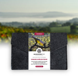 coffret cadeau location 2CV bourgogne