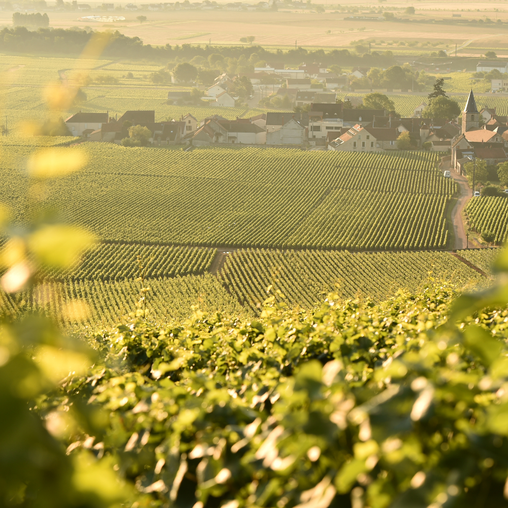Coffret Cadeau Citroën Méhari • Escapade libre jusqu'à 4 personnes • 1 Journée