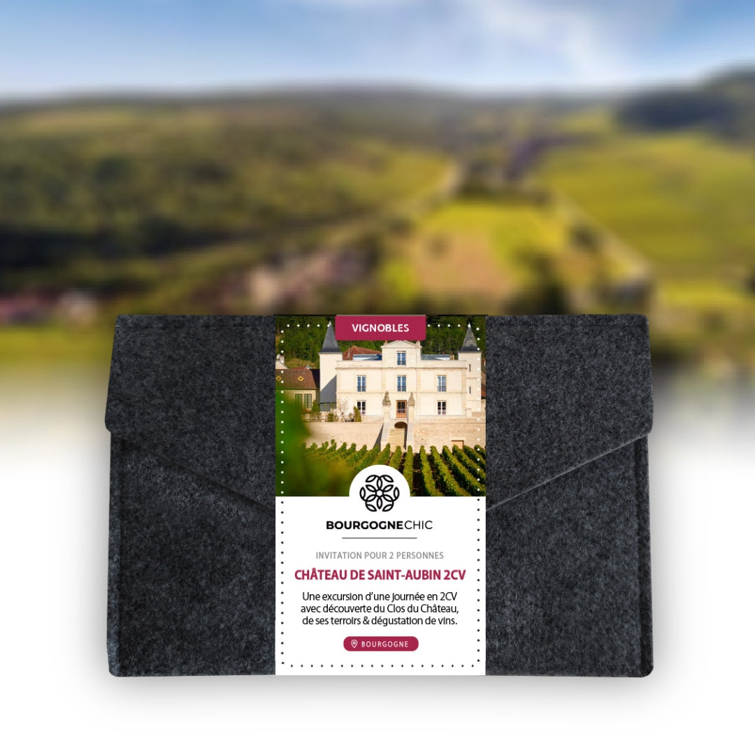 location 2CV bourgogne