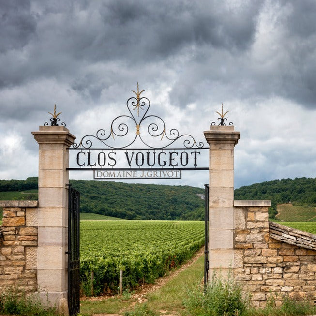 Expérience unique : visite des Châteaux de Pommard et Clos Vougeot en 2CV